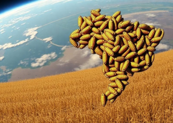 Brazil’s Soybean Drying Hunger for Energy Mapped From Space to Silo