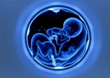Long-Axis PET Scanner Captures Rare Dynamic Views of Glucose Uptake in the Human Fetus