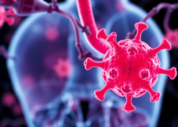 Hidden Nuclear Role of Metabolic Enzyme FAH Drives Breast Cancer Drug Resistance