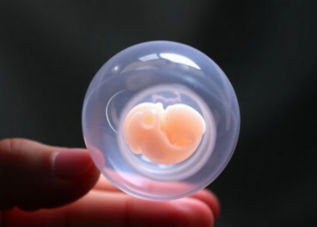 Propofol Anesthesia During Egg Retrieval Leaves Embryo Development Unharmed, Study Finds