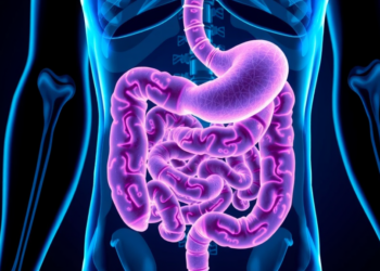 Gout Drug Allopurinol Heals Diet-Driven Gut Inflammation Through AhR-IL-22 Pathway