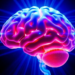 Brain Tissue Layers Reshape Ultrasound Beams in Transcranial Stimulation Models