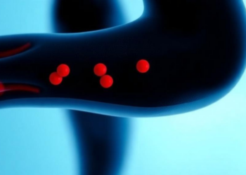 How Exercise Rejuvenates Aging Cartilage: Tiny Vesicles Carry a Longevity Signal