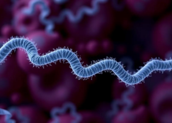 Hidden Blood Protein May Track Insulin Resistance in Polycystic Ovary Syndrome