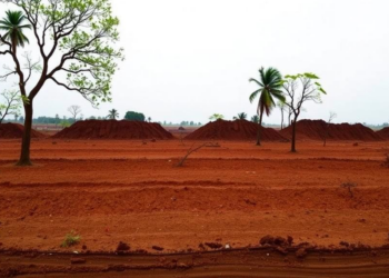 Mapping the Shaking: How Coimbatore’s Soils Could Amplify the Next Earthquake