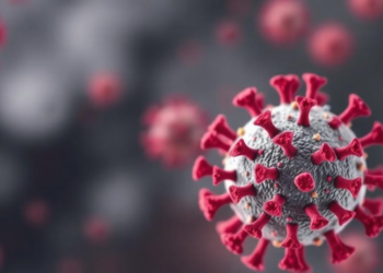 Culture Medium Reshapes RSV Glycoprotein Sugars and Antibody Recognition