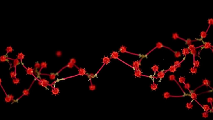 Drug-Resistant HIV Strains Circulate Widely in Yunnan Transmission Networks, Study Finds
