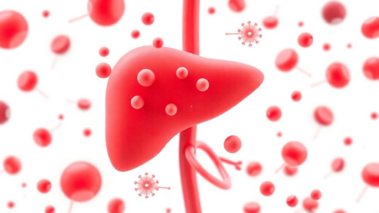 Blood Proteins May Signal Fatty Liver Disease in Children with Obesity