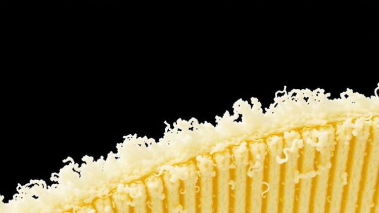 New Method Strips Yeast Glucans to Reveal True Cellulose in Fermentation Samples