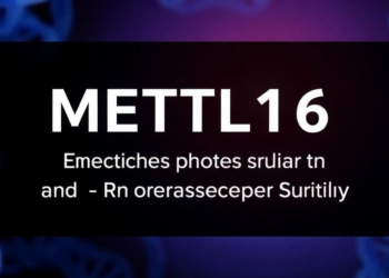 RNA Methylation Enzyme METTL16 Emerges as Guardian of Rod Photoreceptor Survival