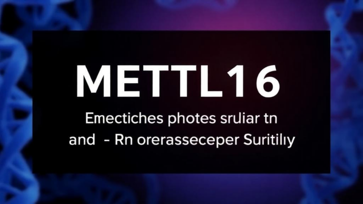 RNA Methylation Enzyme METTL16 Emerges as Guardian of Rod Photoreceptor Survival