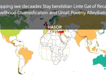Mapping Three Decades of Research on Livelihood Diversification and Poverty Alleviation