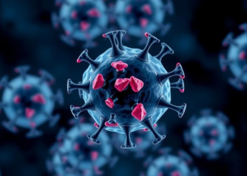 Immune Checkpoints on Gamma Delta T Cells Follow Their Own Rules, Study Finds