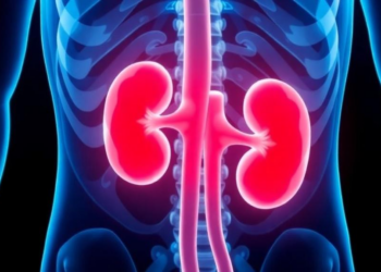 Kidney Tissue Slowly Shrinks for Years After Tumor-Sparing Cancer Surgery, Four-Year Study Finds
