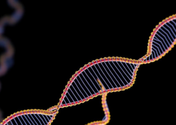 New Machine-Learning Pipeline Takes the Guesswork Out of Genomic Prediction