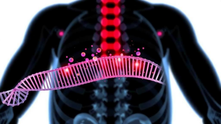 RNA Chemical Tag ac4C Reveals Fibroblast Signal That Drives Colorectal Cancer Aggression