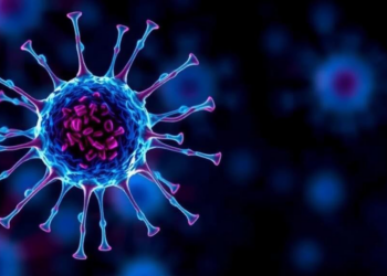 Immune Cell Signal Reveals How Triple Therapy Reshapes Liver Tumors