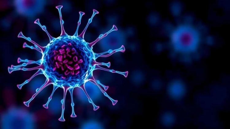 Immune Cell Signal Reveals How Triple Therapy Reshapes Liver Tumors