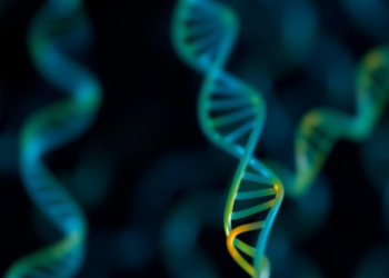 New database turns lab-scale gene tests into clinical evidence for uncertain variants