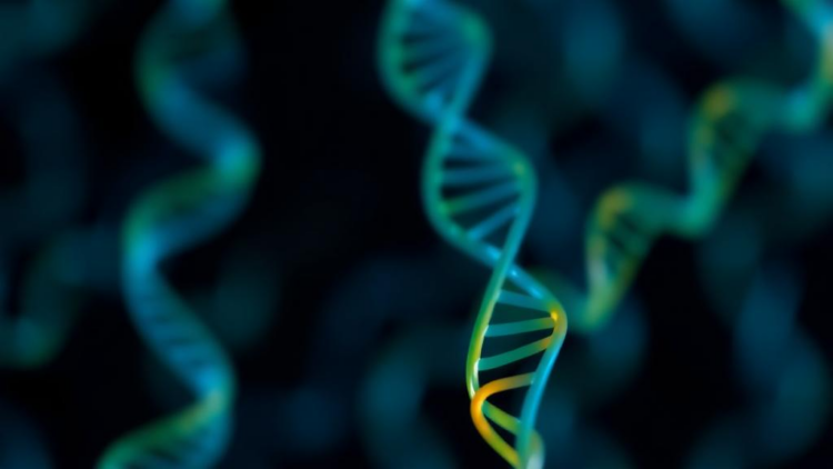 New database turns lab-scale gene tests into clinical evidence for uncertain variants