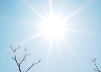 Sunlight, Seasons and Survival: Vitamin D Fails to Explain Timing Effects in Immunotherapy