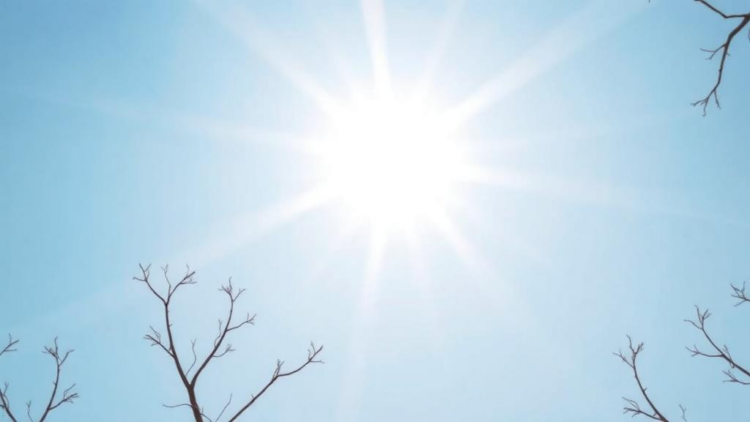Sunlight, Seasons and Survival: Vitamin D Fails to Explain Timing Effects in Immunotherapy