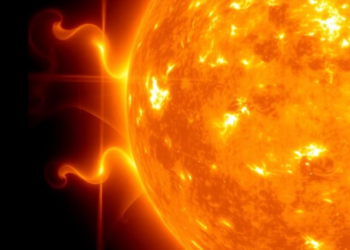 Century of Solar Photographs Reveals Hidden Rhythms in the Sun’s Magnetic Heart