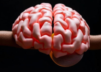 One Gene’s Slow Rise May Explain How Primate Brains Grew Big and Folded