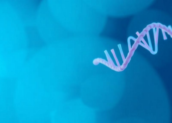 Choosing the Right Adenine Base Editor: New Study Maps the Rules for Precision Gene Editing