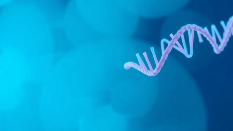 Choosing the Right Adenine Base Editor: New Study Maps the Rules for Precision Gene Editing