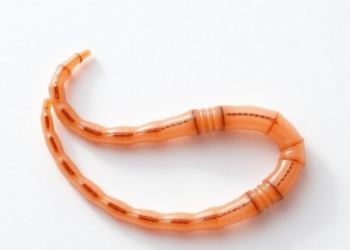 Dog Hookworm Uncinaria stenocephala Still Vulnerable to Key Dewormers, Italian Field Study Finds