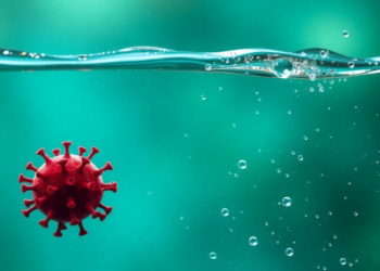 Conducting Polymer and Quantum Dot Sensor Detects Traces of SARS-CoV-2 in Wastewater