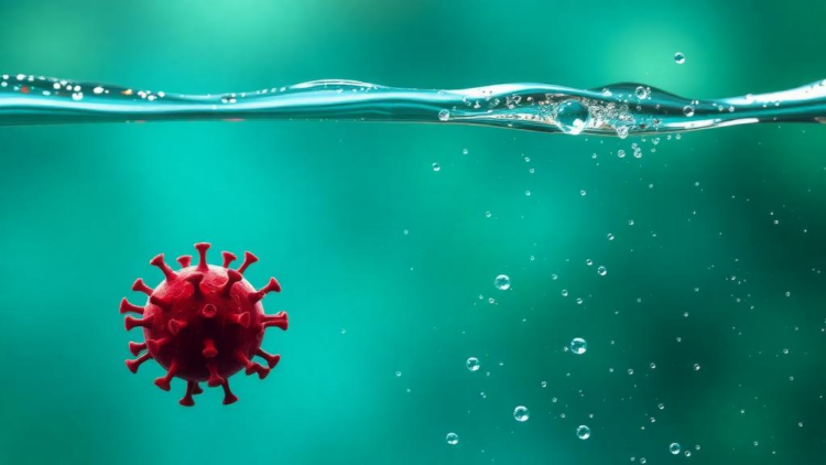 Conducting Polymer and Quantum Dot Sensor Detects Traces of SARS-CoV-2 in Wastewater