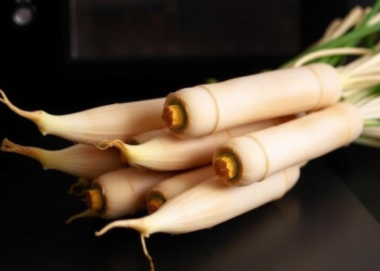 Microwave Drying Emerges as the Energy-Saving Winner for Sweet Flag Rhizomes