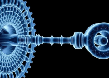 Human Mitochondrial Barrel Factory Caught in Two States by Cryo-EM