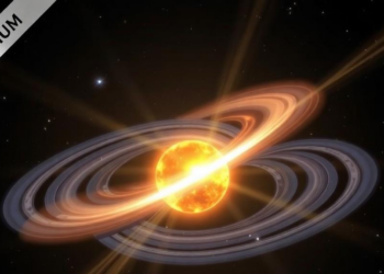 Hooked and U-Turned Radio Bursts Reveal Hidden Solar Magnetic Loops