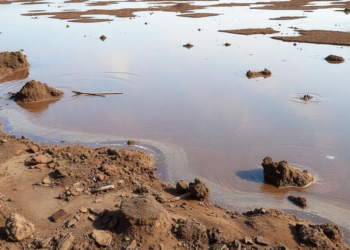 Groundwater in Coastal Bangladesh Is Failing the Test, Season by Season
