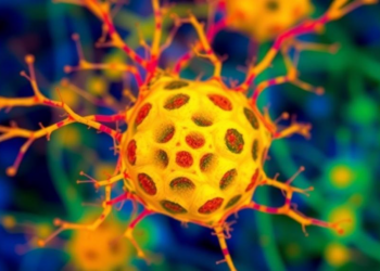 Cell Painting Meets Thermal Proteome Profiling to Decode How Drugs Work
