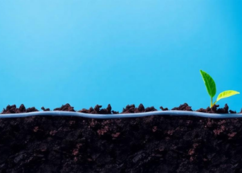 Forever Chemicals Decoded: How PFAS Conquer Water, Soil and Air