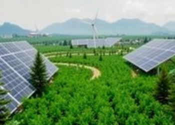 Carbon Markets and Climate Pledges Drive Renewables, But Green Bonds Lag, Study Finds