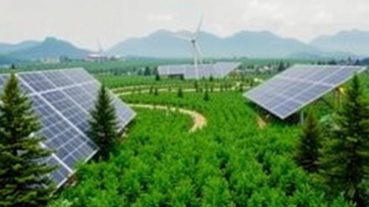 Carbon Markets and Climate Pledges Drive Renewables, But Green Bonds Lag, Study Finds