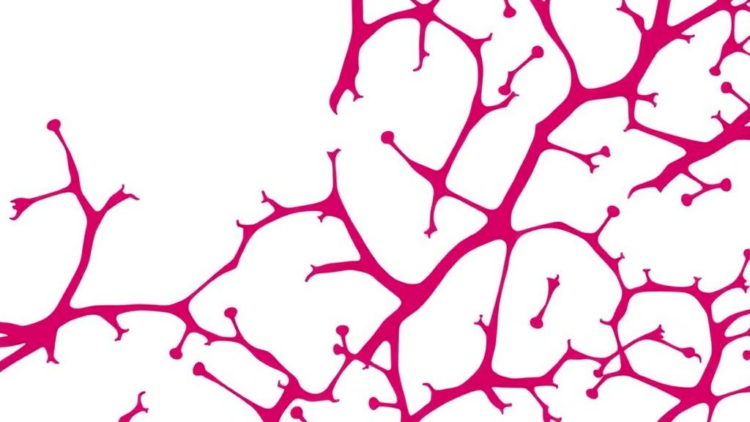 Biophysicist Kandice Tanner Wins 2027 Bárány Award for Metastasis Discoveries