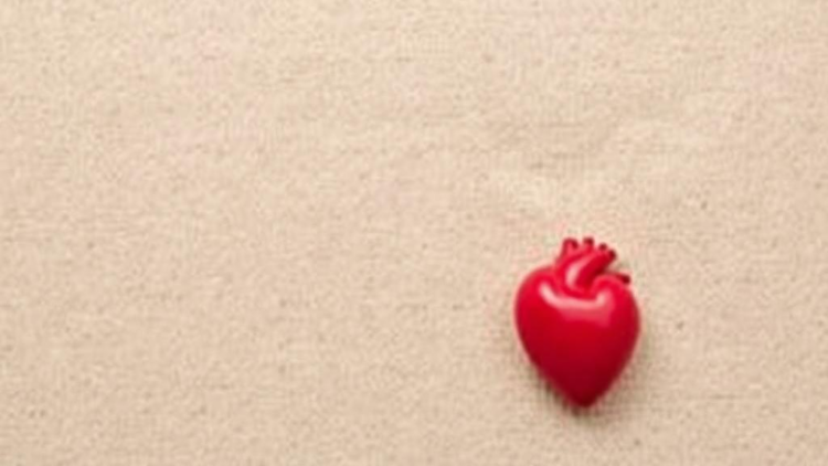 Long Waits and High Deaths: Kenya’s Congenital Heart Disease Care Gap Laid Bare