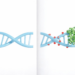 Two Ways to Read a Cell’s Master Switches Reveal Hidden Biases in Gene Regulation Studies