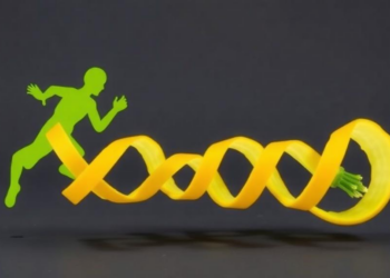 Jumping Genes Shape the Yellow Peel of Cucumbers, New Study Finds