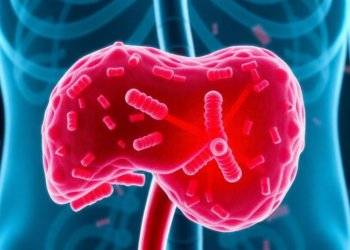 Bacteria Inside Liver Tumors May Predict Who Responds to Cancer Conversion Therapy