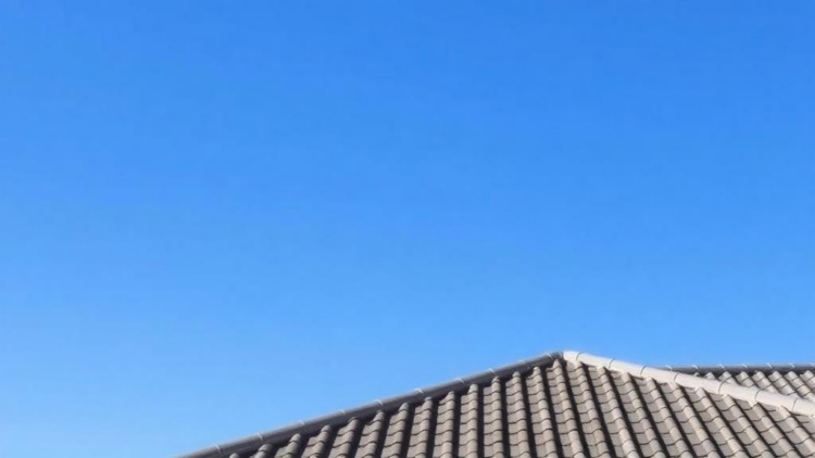 Simple Algorithms Outsmart Heavyweights in Earthquake-Resistant Roof Design