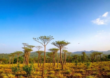 Illegal Logging Is Stripping Tanzania’s Forest of Its Malaria Healing Plants