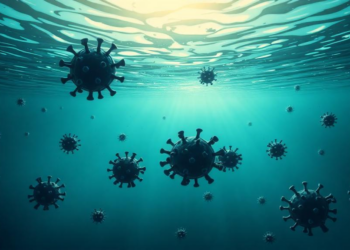 Ocean Viruses Hitch a Ride on Sinking Particles Into the Twilight Zone