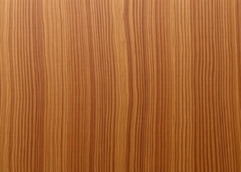 Thirty Years of Teak Data Reveal Which Clones Deserve to Stay
